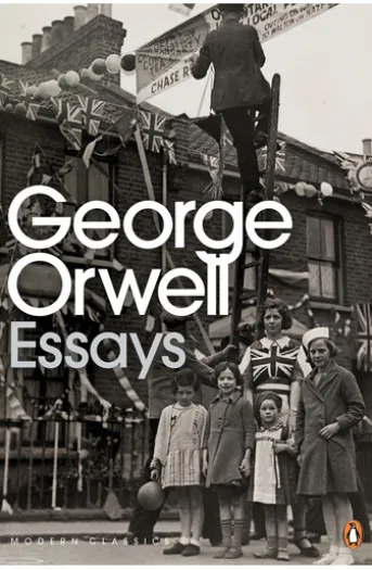 Essays