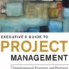 Executive's Guide to Project Management