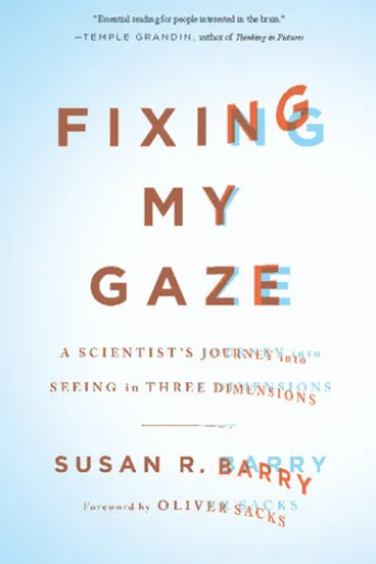 Fixing My Gaze