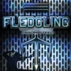 Fledgling: Jason Steed