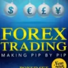 Forex Trading Making Pip By Pip