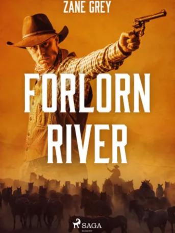 Forlorn River