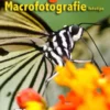 Fotografie: macrofotografie fototips