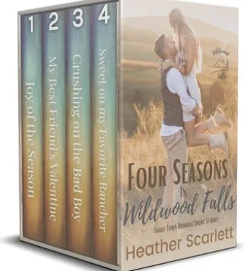 Four Seasons in Wildwood Falls