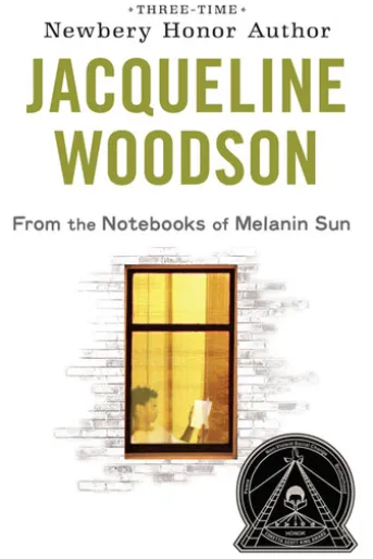 From the Notebooks of Melanin Sun