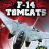 F-14 Tomcats