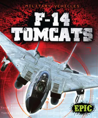 F-14 Tomcats