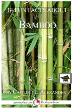 14 Fun Facts About Bamboo: Educational Version