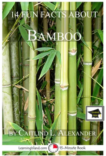 14 Fun Facts About Bamboo: Educational Version