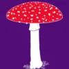 Fungipedia