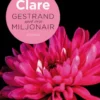 Gestrand met een miljonair