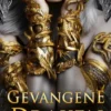 Gevangene van de Draken: Fantasy Romantiek