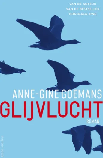 Glijvlucht