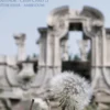 God Bless China (1)