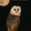 Gute Nacht, Freunde