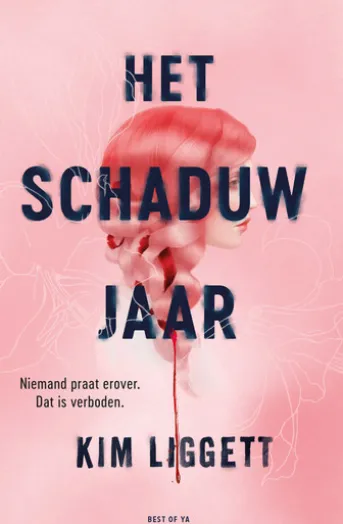 Het schaduwjaar