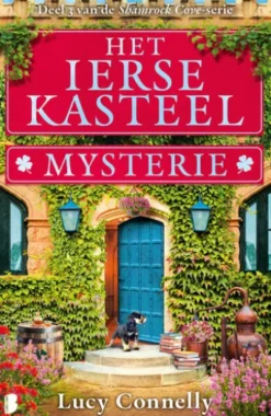 Het Ierse kasteelmysterie