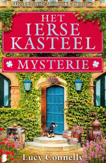 Het Ierse kasteelmysterie