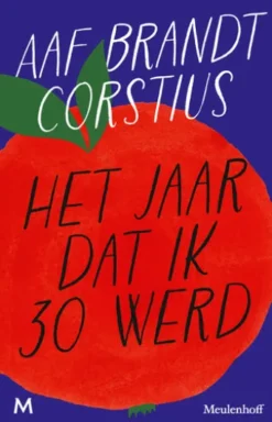 Het jaar dat ik 30 werd