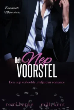 Het Nep Voorstel