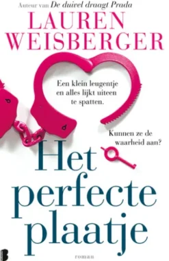 Het perfecte plaatje