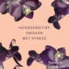 Hoogsensitief omgaan met stress
