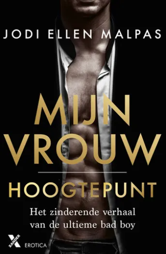 Hoogtepunt