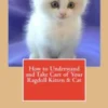 How to Understand and Take Care of Your Ragdoll Kitten & Cat