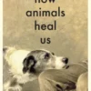 How Animals Heal Us