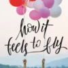 How It Feels to Fly