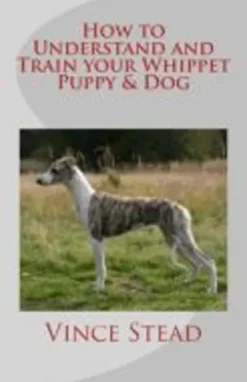 How to Understand and Train your Whippet Puppy & Dog