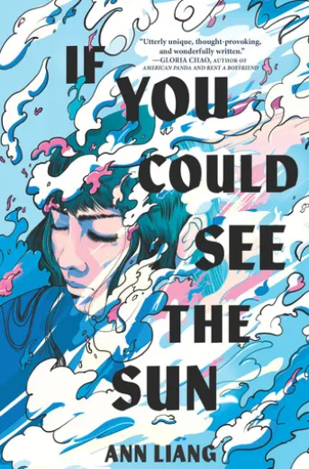 If You Could See the Sun