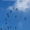 Il silenzio della felicità