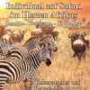 Individual auf Safari im Herzen Afrikas - Zambia - Botswana - Zimbabwe - Reiseratgeber und Reisetagebuch mit nützlichen Tipps