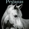 Inside Pegasus