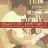 I Read It, but I Don't Get It