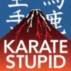 Karate Stupid