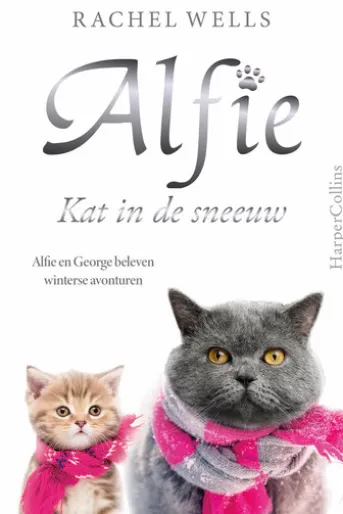 Kat in de sneeuw