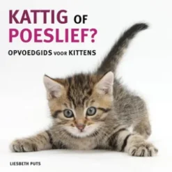 Kattig of poeslief
