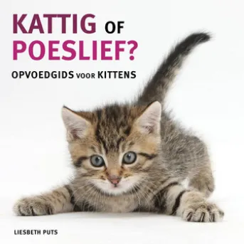 Kattig of poeslief
