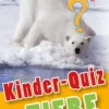 Kinder-Quiz Tiere