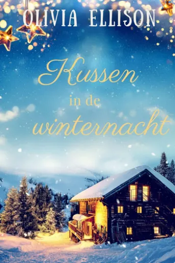 Kussen in de winternacht