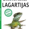 Lagartijas