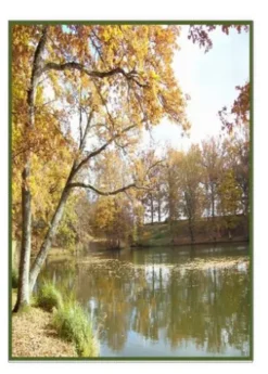 La Grenadière . 14