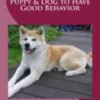 Learn How to Understand and Train your Akita Puppy & Dog to Have Good Behavior