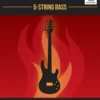 Learn to Burn: 5-String Bass Guitar