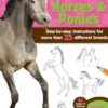 Learn to Draw Horses & Ponies