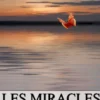 LES MIRACLES DU SAINT-LAURENT
