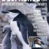 L’Espagnol Pour Tous - Apprendre L'Espagnol Pour Enfants