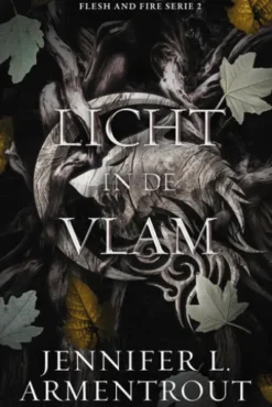 Licht in de vlam